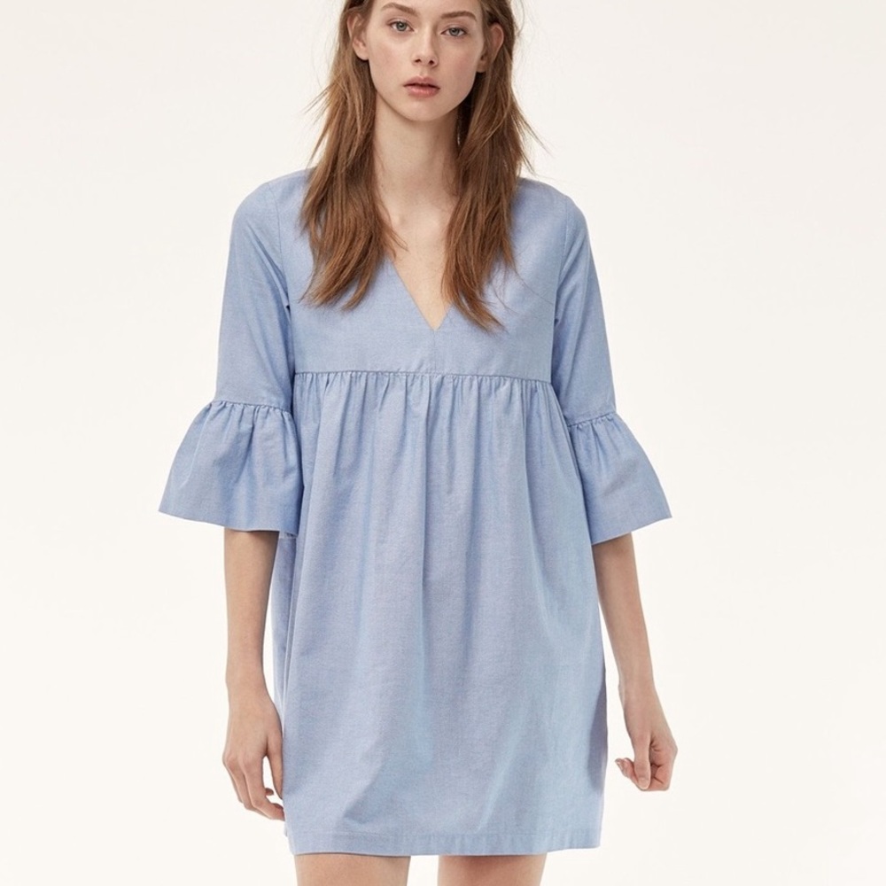 Sunday Best Mini Dress (Aritizia)